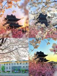 【紹興——水墨江南嘅慢時光】