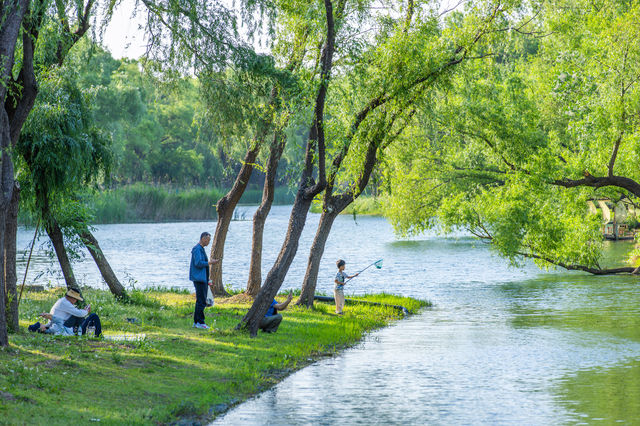 初遊虎丘濕地公園