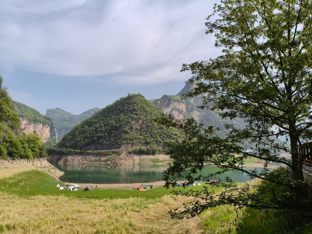 野紀河