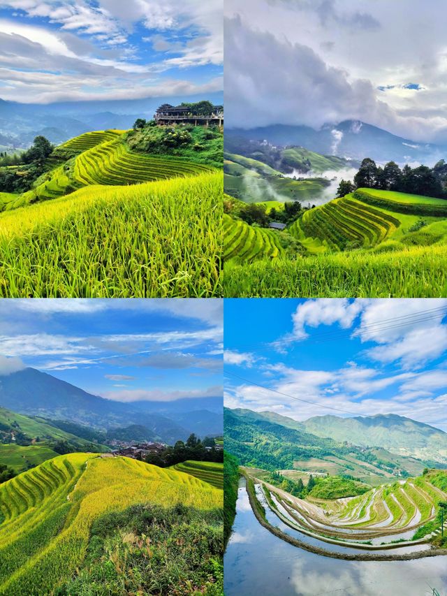 跟住《國家地理》嚟嘅龍脊梯田，有被治癒到
