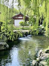濟南親子遊血淚史！這3個坑讓我當場懷疑人生