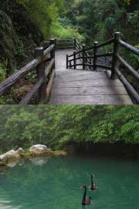 曲靖尼珠河大峽谷