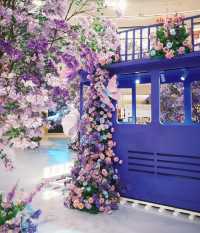 長沙睇展浪漫紫色系感受雲南花海