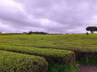 Amazing weekend getaway to Jeju Island, South Korea! 