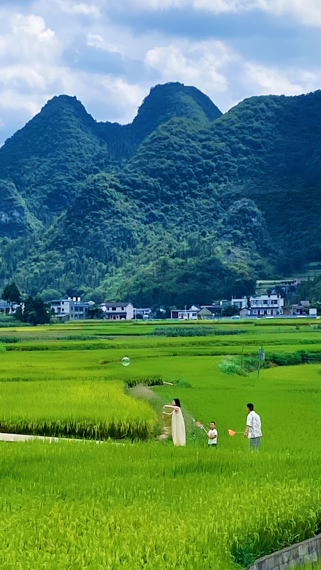 萬峰林已回…避雷超全攻略