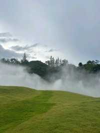 泰國Khao Yai Art Forest交通攻略｜探秘森林藝術秘境