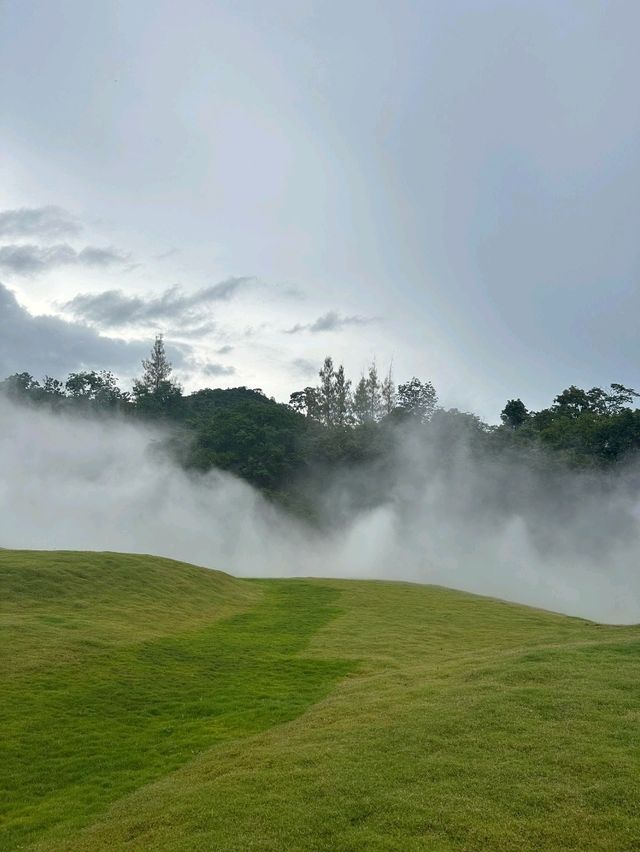 泰國Khao Yai Art Forest交通攻略｜探秘森林藝術秘境