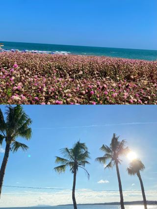 Sanya? Haikou? Jeju Island? No no no, I said no—it's in Maoming Dianbai, a small city in Guangdong!