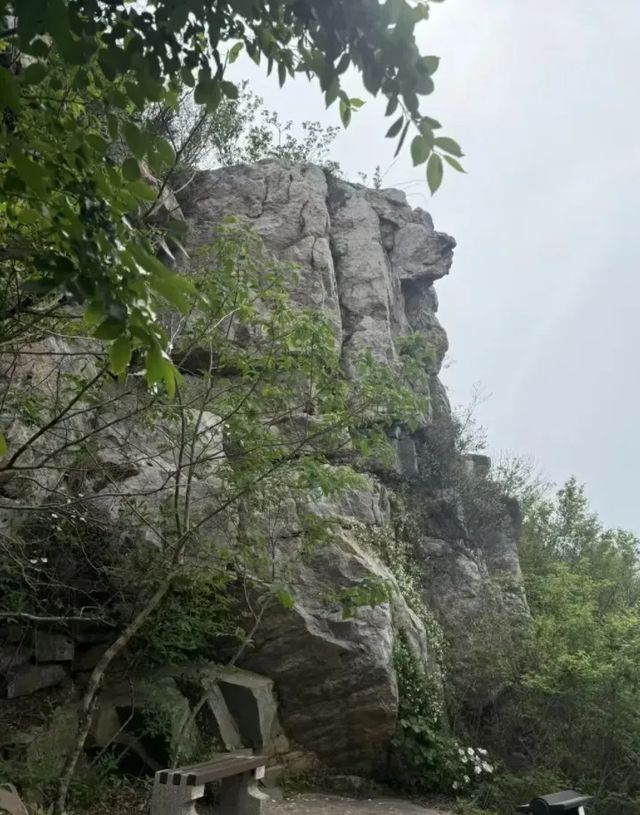 徒步虞山國家森林公園，解鎖自然與人文的雙重盛宴
