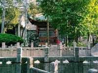 "From Minarets to Ming Dynasty: Yinchuan’s Top Mosques Unveiled"