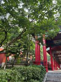 黔靈山公園，繁囂都市中的綠意閒情