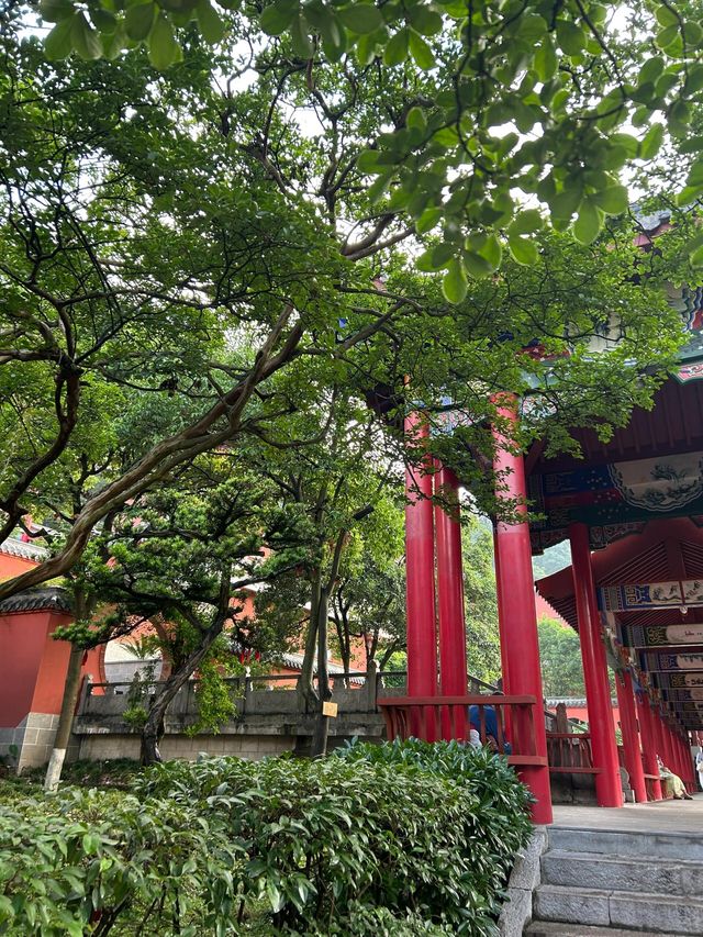 黔靈山公園，繁囂都市中的綠意閒情
