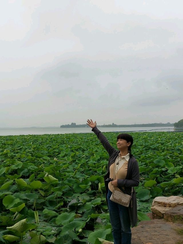 🌸 《夢回紅樓・上海大觀園》