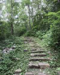 登頂白雞峰1314米