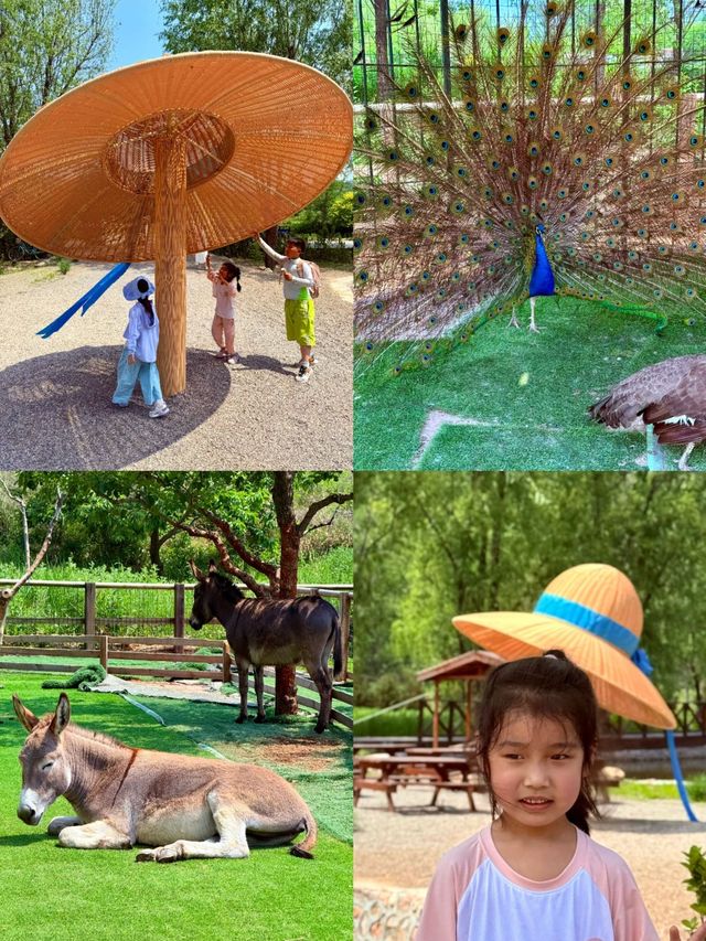 天津湊仔好去處 | 端午小長假，全家出遊首選！