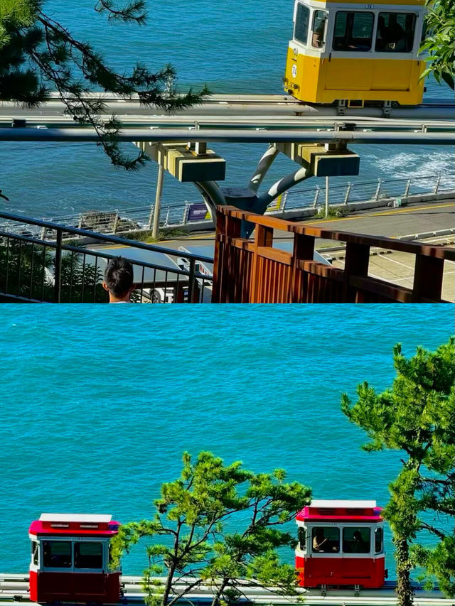 我放棄濟州島了，因為呢度……
