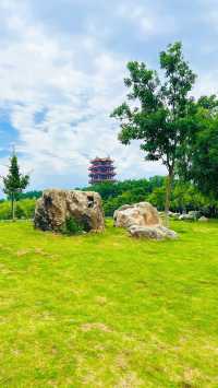 夏日暢遊煙台牟平沁水河口國家濕地公園