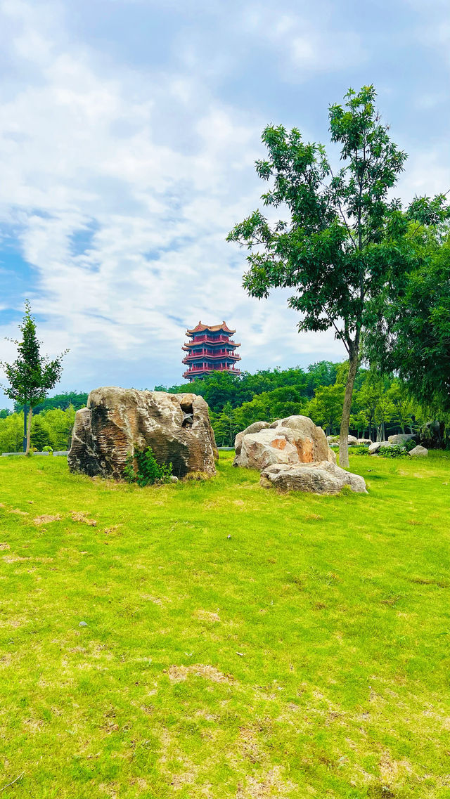 夏日暢遊煙台牟平沁水河口國家濕地公園