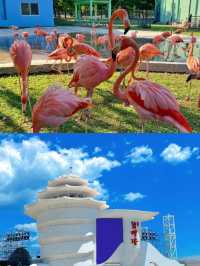 北戴河之旅完滿結束，我嘅消費觀徹底崩潰咗。