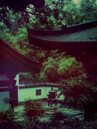 【尋幽探祕：五雲山真跡寺的禪意與金黃詩篇】