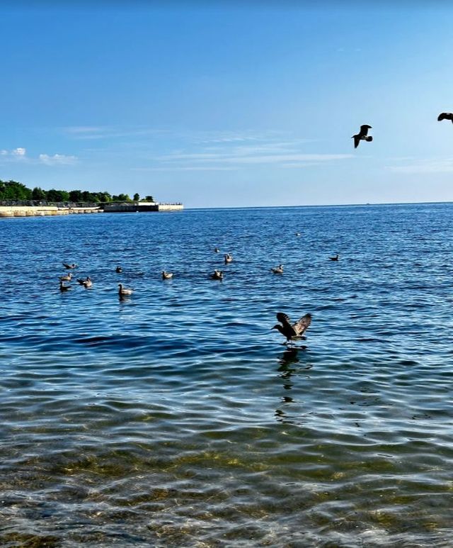 來到大連跨海大橋感受海風～