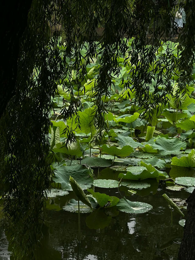晴翠湖不如雨翠湖