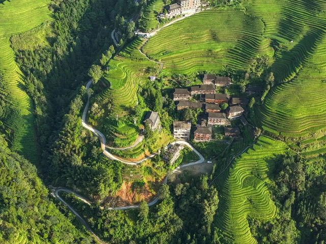 夏日闖進龍脊梯田，邂逅現實版綠野仙蹤