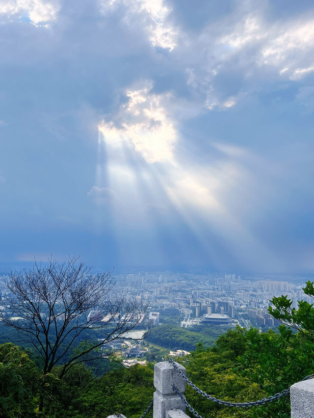 廣州登山必去摩星嶺綠肺徒步攻略