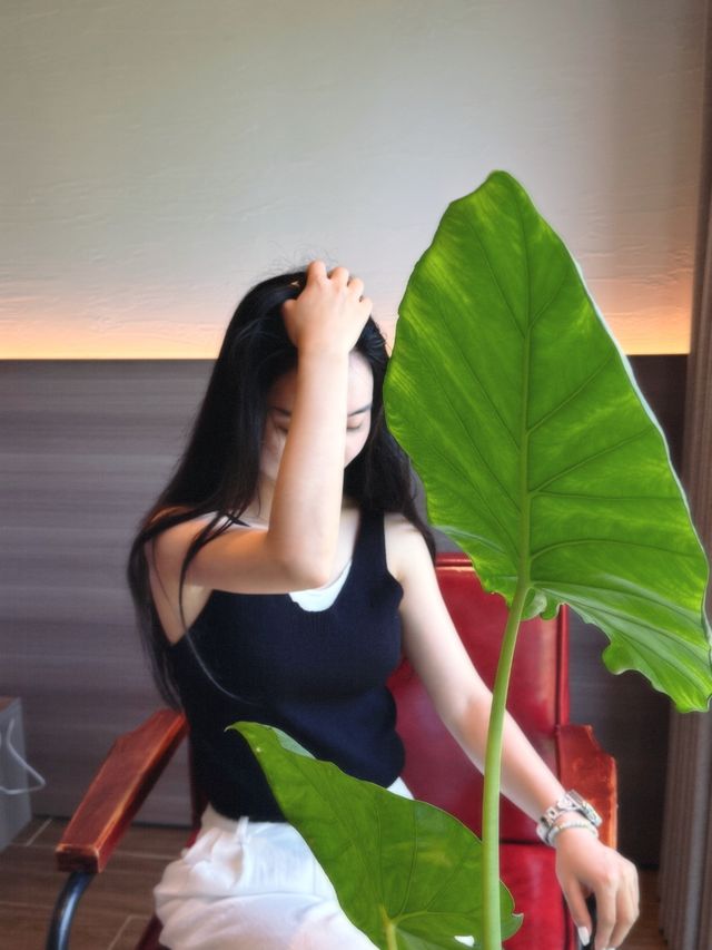 1小時逃離成都嘅避世美宿