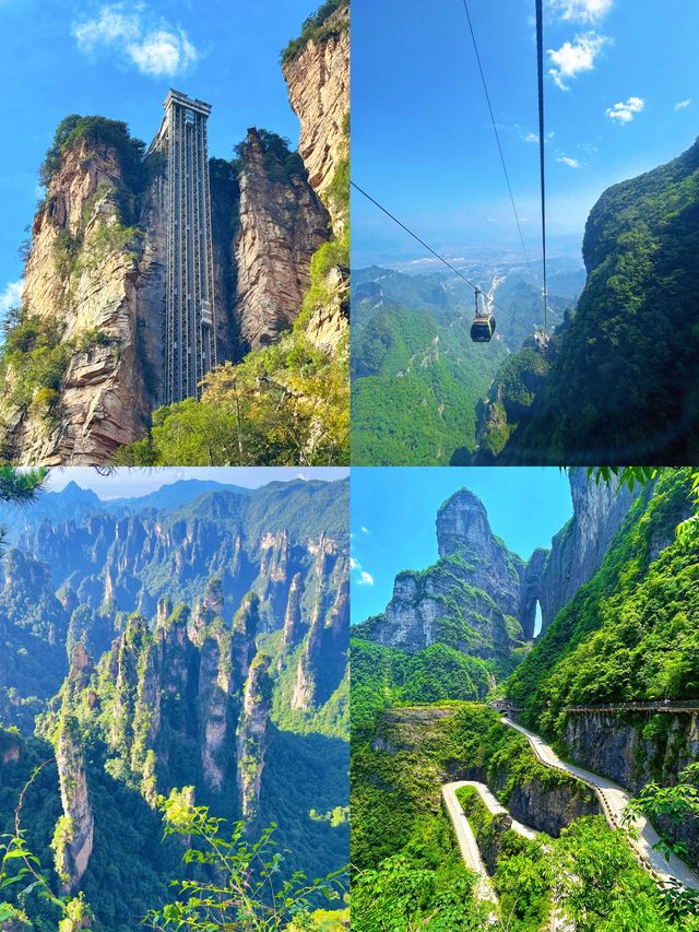 張家界避坑指南