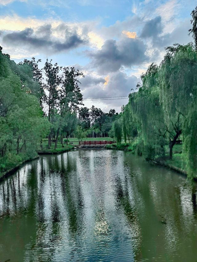 夏日秘境 | 上海浦東秀南公園
