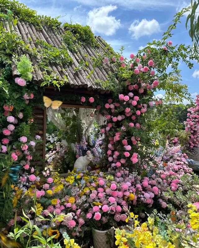夏日系治癒花園！！