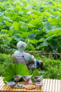 逃離城市計劃｜烏鎮烏村週末躺平指南 週末想同姊妹帶娃逃離城市，又唔想做攻略、計AA？ 呢份烏村2天