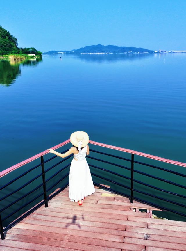 夏日躺平指南/度假先係夏日嘅正確打開方式