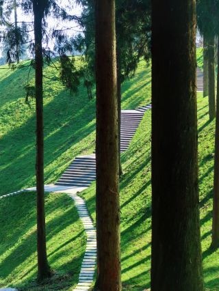 2h Trip Around Luzhou｜Real-life Twilight Forest