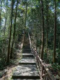株洲酒埠江風景區-酒仙湖