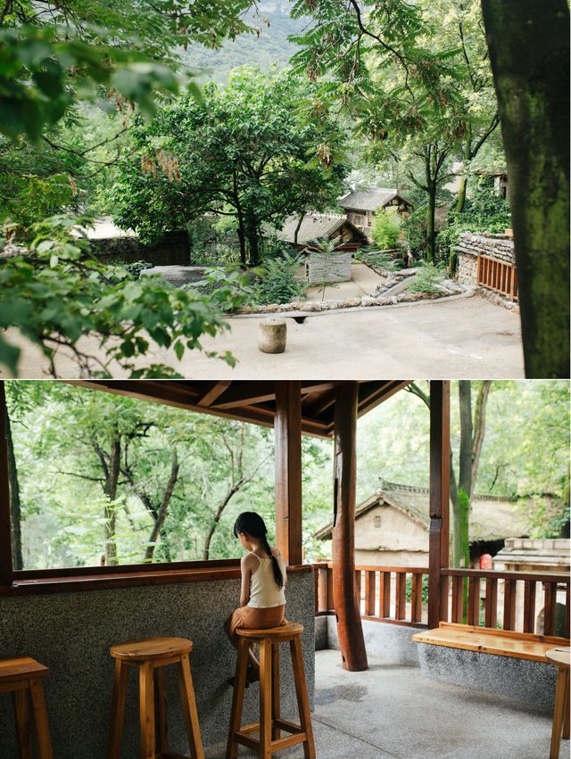 暑假帶娃｜|雲丘山森林秘境解鎖自然課堂