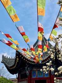 靜謐梵音的流轉——廣仁寺的莊嚴與慈悲