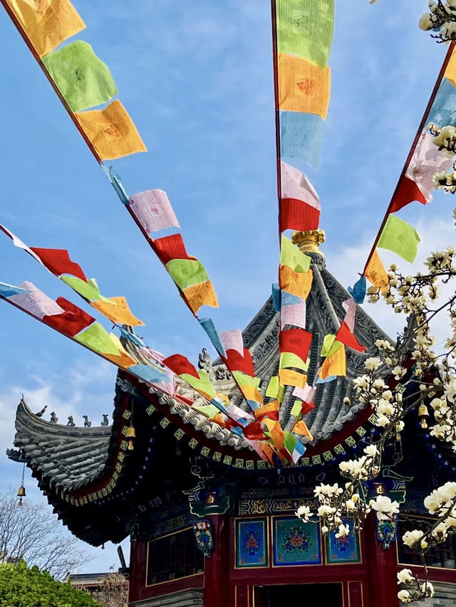 靜謐梵音的流轉——廣仁寺的莊嚴與慈悲