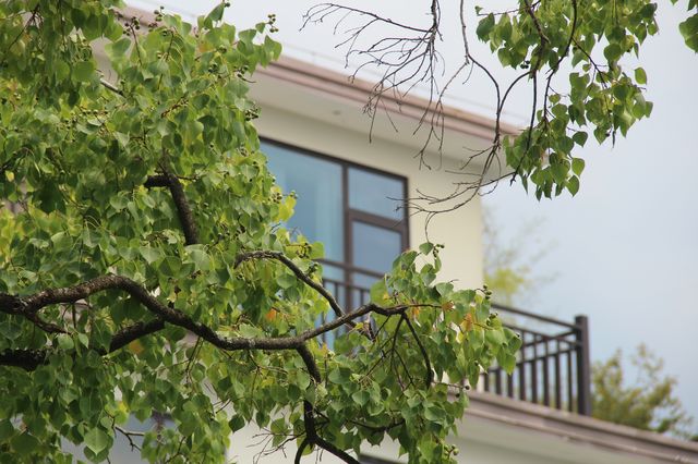 半山渡小記：把日子過成慢悠悠的風