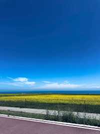 青海湖遊玩全攻略
