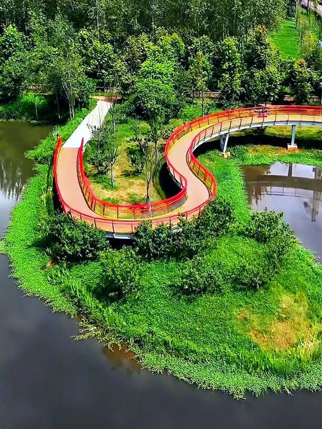 昆明滇池綠道：漫步湖光山色間的生態之旅