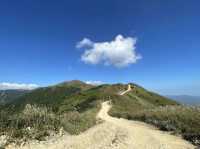 大南山最美高山草甸