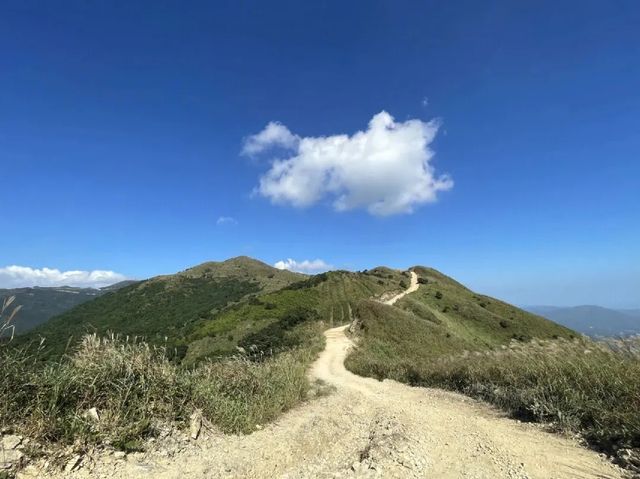 大南山最美高山草甸
