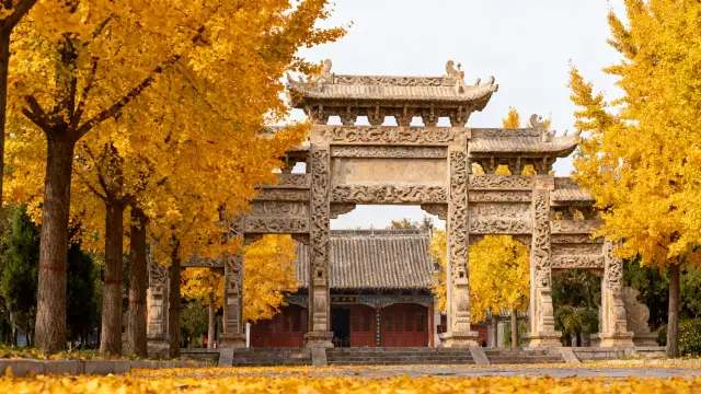 亳州秋日漫遊指南