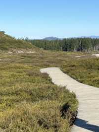 🌋 Crater of the Moon Walk: Step Into a Volcanic Wonderland! 😊
