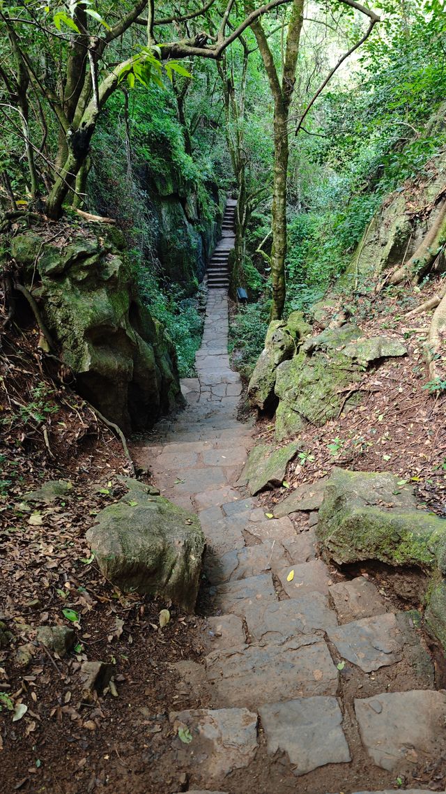 普者黑——青龍山