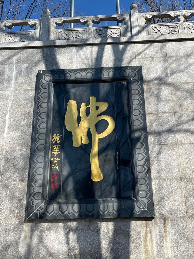 古寺聽禪觀鳥｜在永慧禪寺遇見山林裡的飛羽精靈