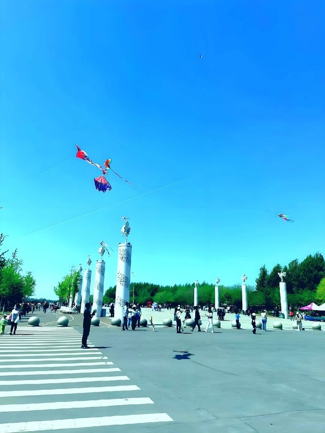 丁香湖公園序