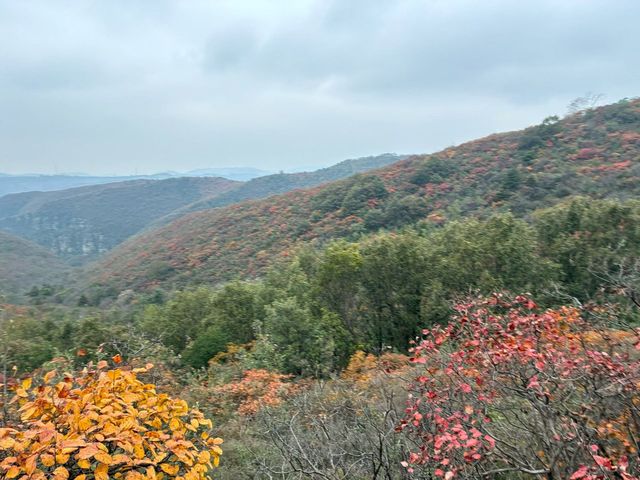 秋雨染山色最美